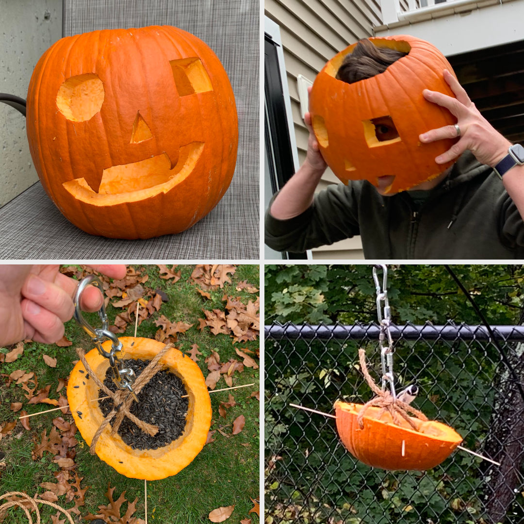 Turning a jack-o-lantern into a bird feeder
