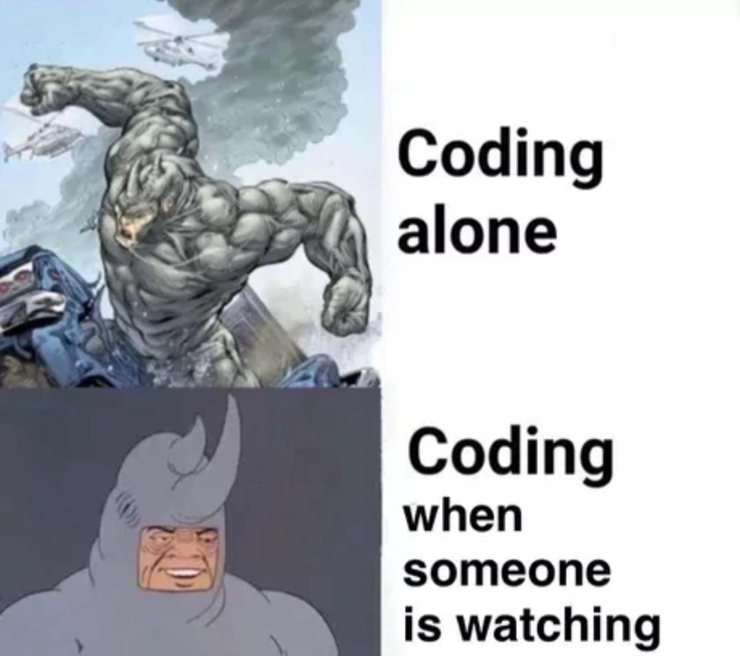 Meme, where the top panel shows the villain Rhino destroying a city with the words “Coding alone” next to it, and the bottom panel shows Rhino looking silly with the words “Coding when someone is watching” next to it.